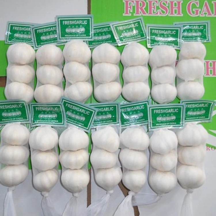 Çima sîr Premium Fresh Hilbijartina Vebijartî ye ji bo Kirrûbirên Bihişmend?