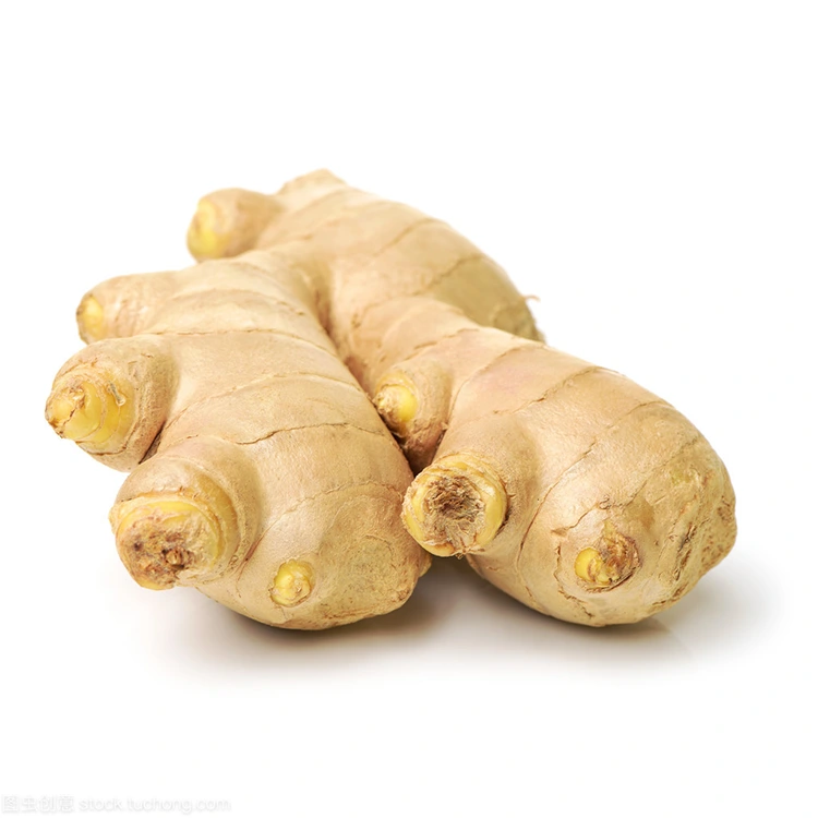 Çima Premium Fresh Ginger Hilbijartina Vebijartî ye ji bo Kirrûbirên Kalîte-Hişmend?