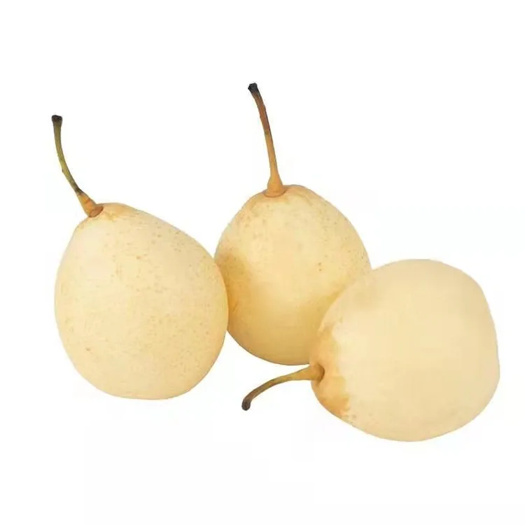 Ya Pear Teze Rakirî