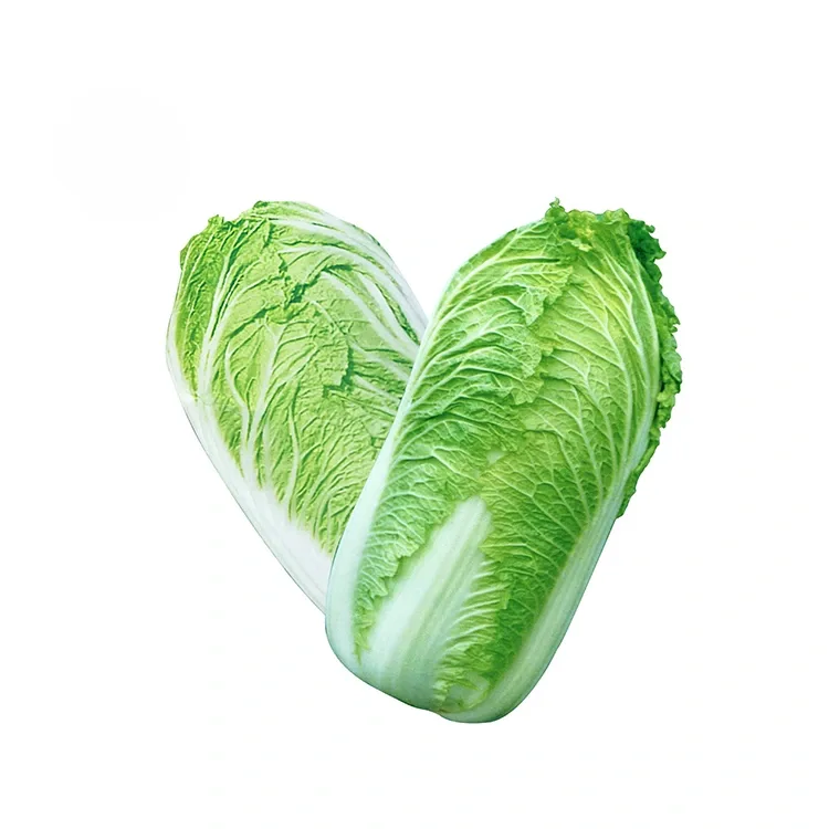 Baxçe Cabbage Çînî Teze