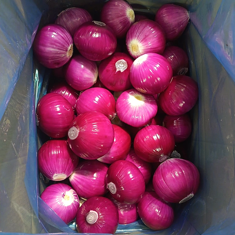 Pîvazên Peeled Quality Bilind