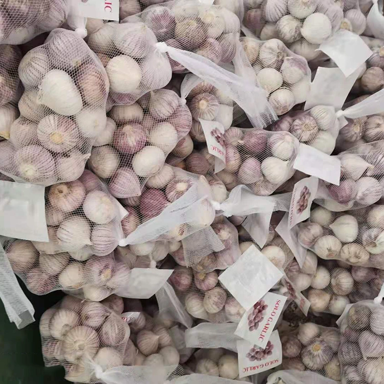 Qalîteya Bilind Single Clove Garlic