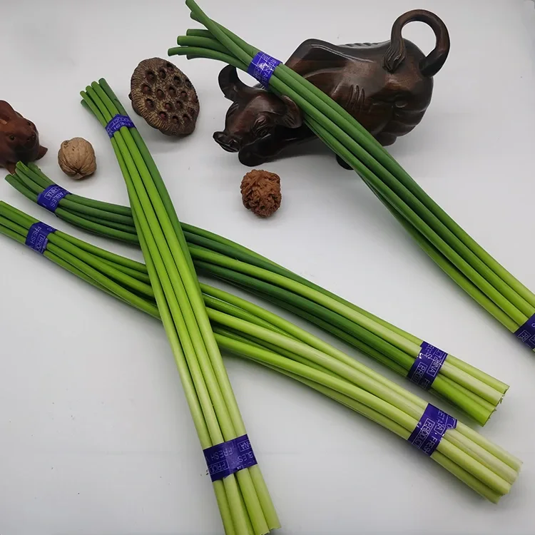 Premium Fresh Scapes Garlic