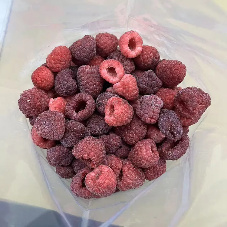 Premium IQF Tevahiya Frozen Red Raspberry