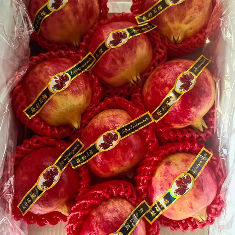 Pomegranên Tûnisî yên nermik ên Premium