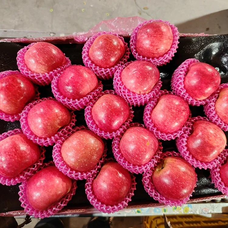Superior Fresh Jiguan Sêv