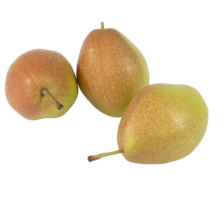 Pearên Hongxiangsu Fresh Qalîteya Bilind